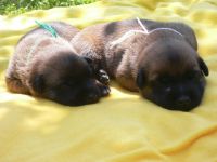 03062010-27-woche2